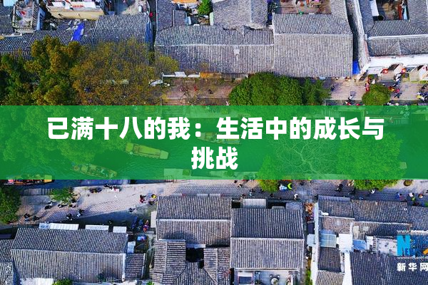 已满十八的我：生活中的成长与挑战