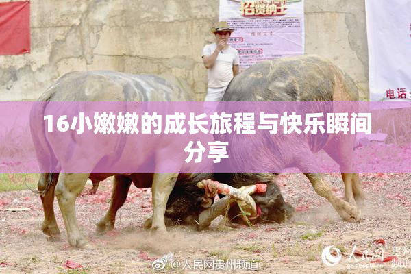 16小嫩嫩的成长旅程与快乐瞬间分享