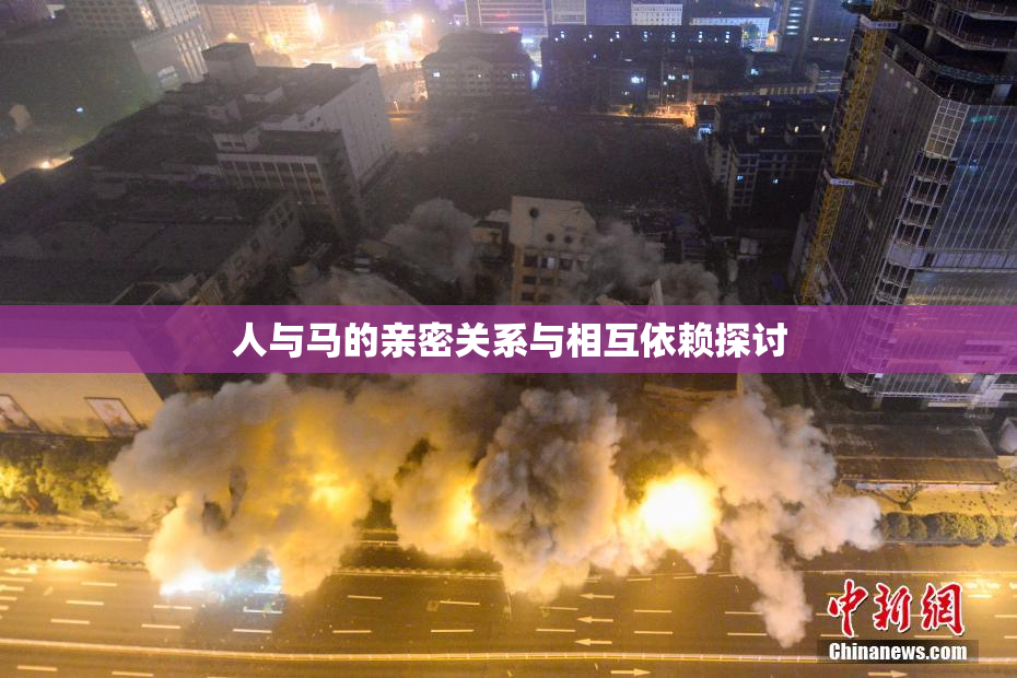 人与马的亲密关系与相互依赖探讨