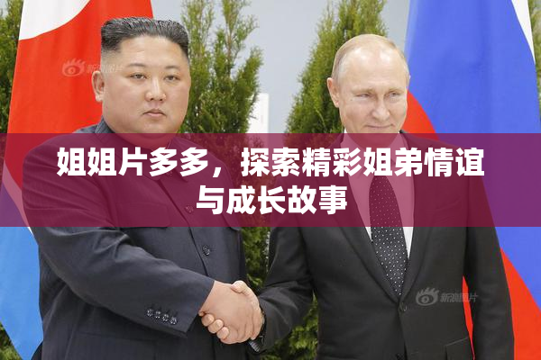 姐姐片多多，探索精彩姐弟情谊与成长故事
