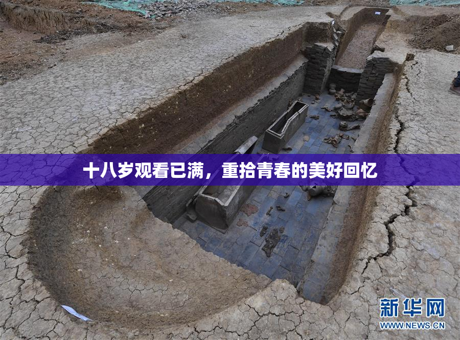 十八岁观看已满，重拾青春的美好回忆
