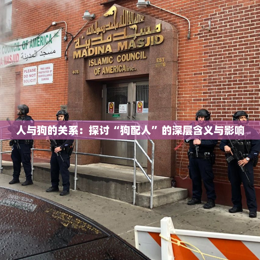 人与狗的关系：探讨“狗配人”的深层含义与影响