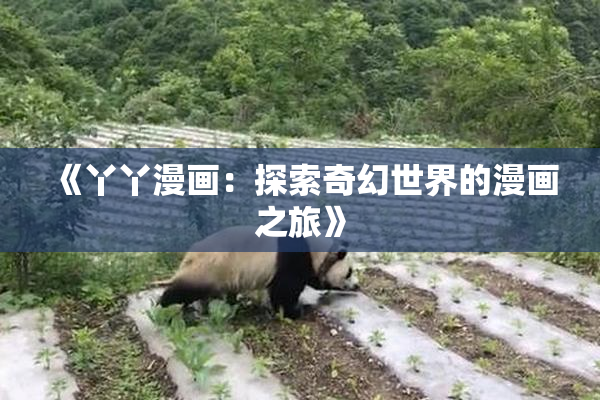 《丫丫漫画：探索奇幻世界的漫画之旅》