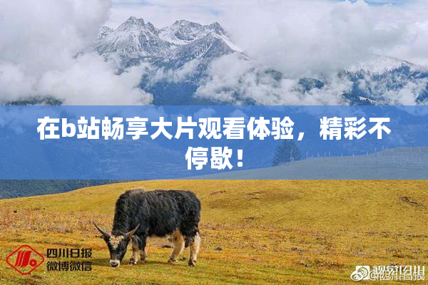 在b站畅享大片观看体验，精彩不停歇！