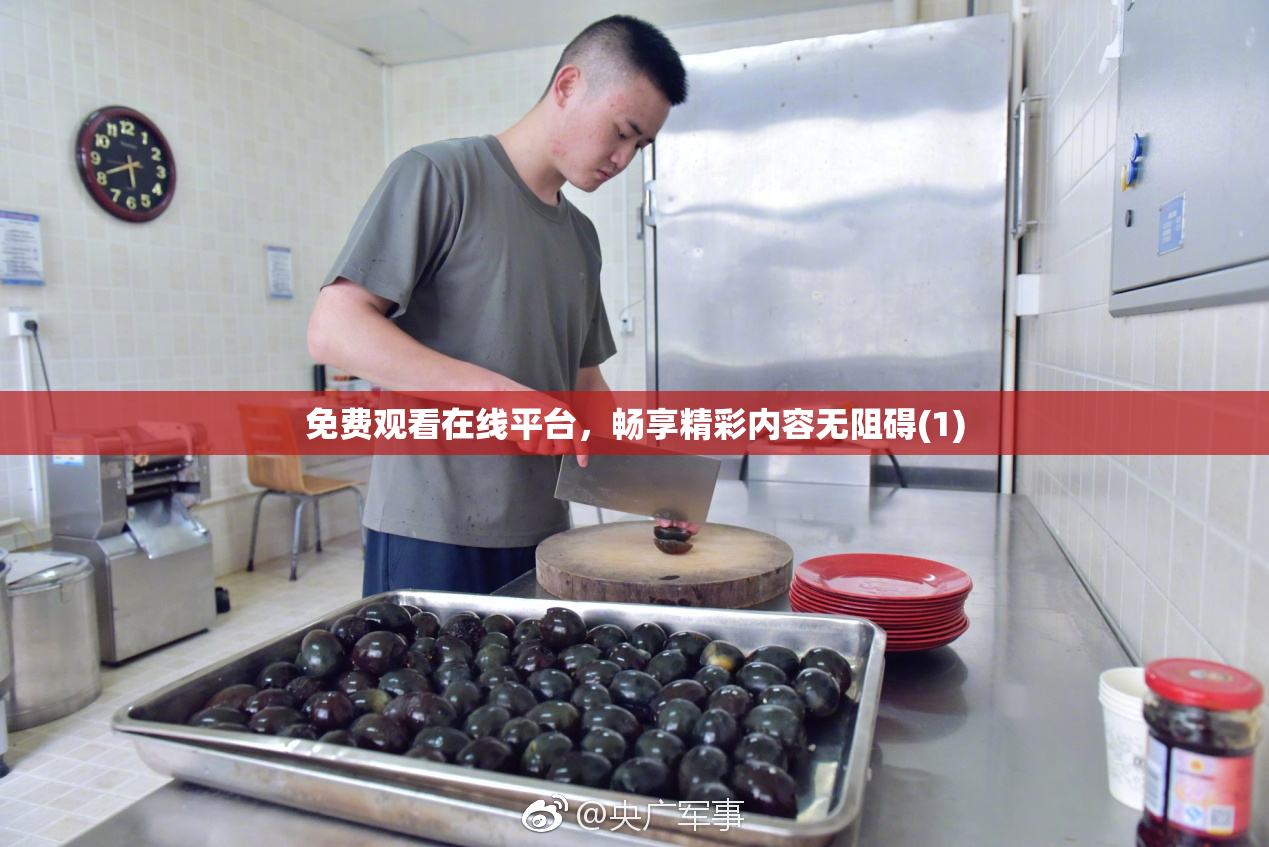 免费观看在线平台，畅享精彩内容无阻碍(1)