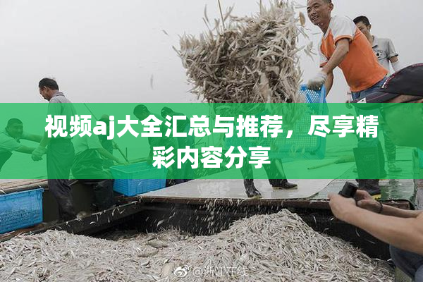 视频aj大全汇总与推荐，尽享精彩内容分享