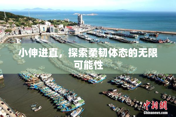 小伸进直，探索柔韧体态的无限可能性