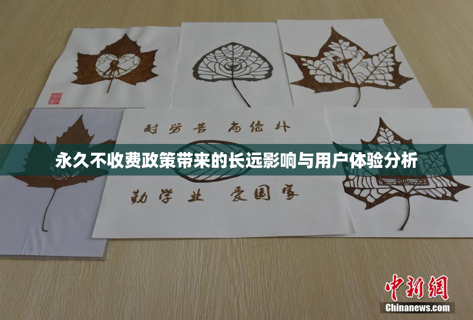 永久不收费政策带来的长远影响与用户体验分析