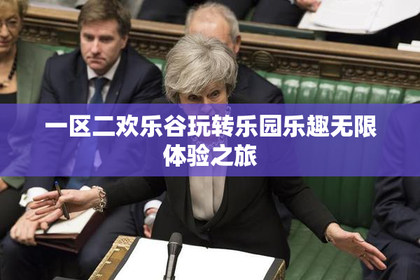 一区二欢乐谷玩转乐园乐趣无限体验之旅