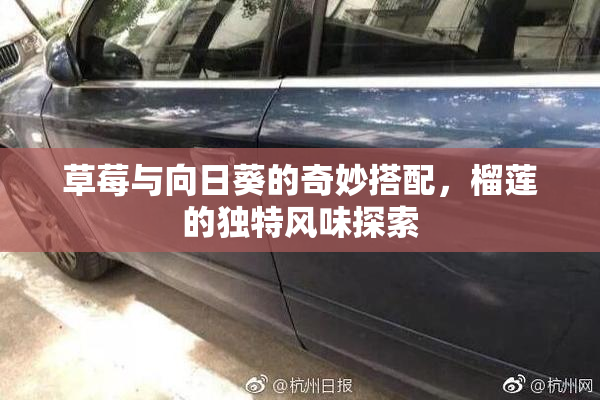 草莓与向日葵的奇妙搭配，榴莲的独特风味探索