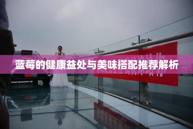 蓝莓的健康益处与美味搭配推荐解析