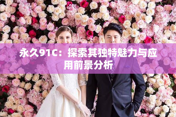 永久91C：探索其独特魅力与应用前景分析