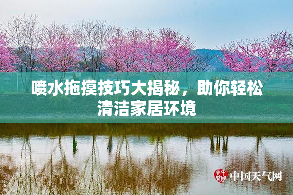 喷水拖摸技巧大揭秘，助你轻松清洁家居环境