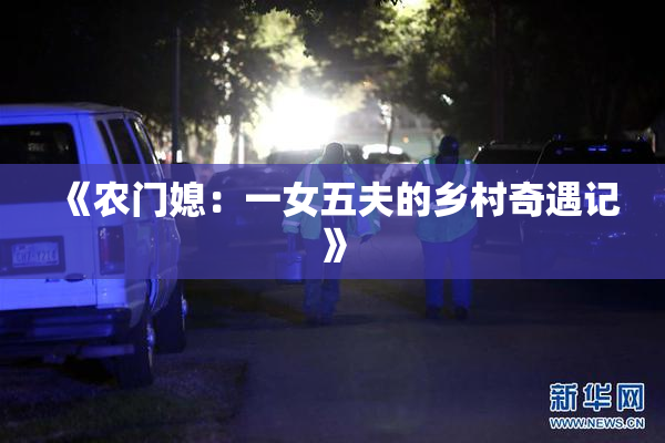 《农门媳：一女五夫的乡村奇遇记》