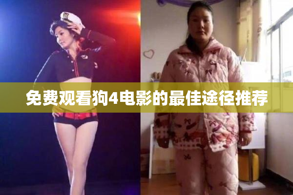 免费观看狗4电影的最佳途径推荐