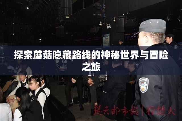 探索蘑菇隐藏路线的神秘世界与冒险之旅