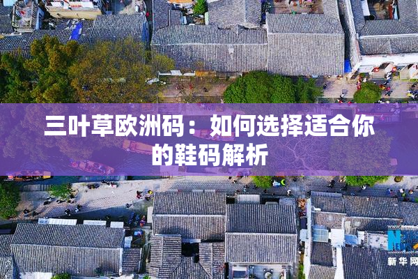 三叶草欧洲码：如何选择适合你的鞋码解析