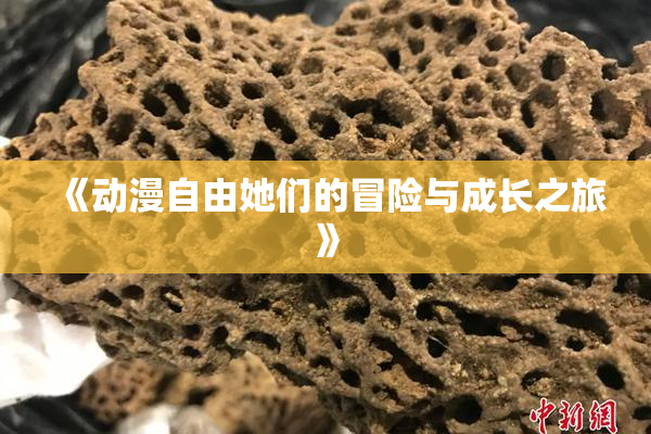 《动漫自由她们的冒险与成长之旅》