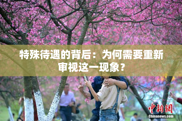特殊待遇的背后：为何需要重新审视这一现象？