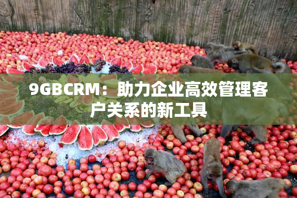 9GBCRM：助力企业高效管理客户关系的新工具