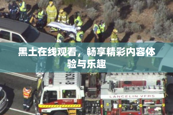 黑土在线观看，畅享精彩内容体验与乐趣