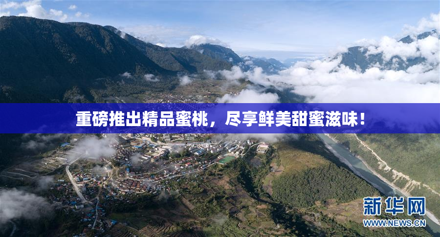 重磅推出精品蜜桃，尽享鲜美甜蜜滋味！