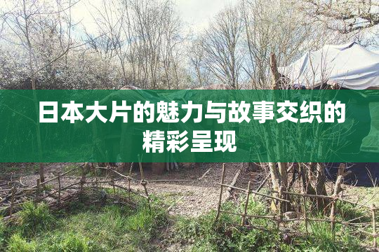 日本大片的魅力与故事交织的精彩呈现
