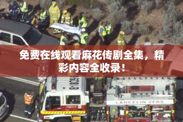 免费在线观看麻花传剧全集，精彩内容全收录！