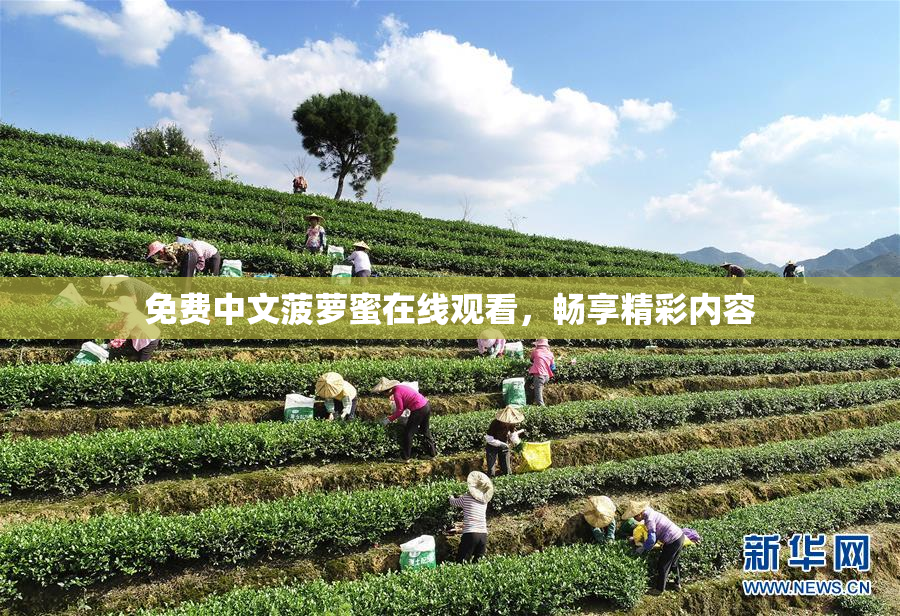 免费中文菠萝蜜在线观看，畅享精彩内容