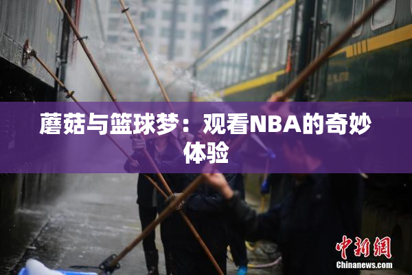 蘑菇与篮球梦：观看NBA的奇妙体验