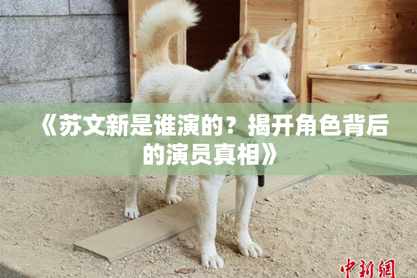 《苏文新是谁演的？揭开角色背后的演员真相》
