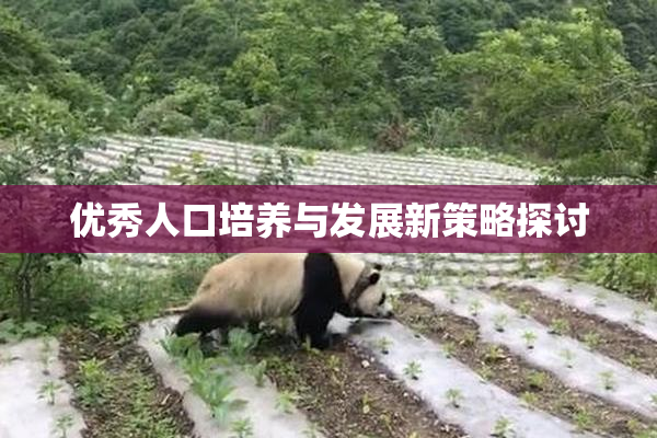 优秀人口培养与发展新策略探讨