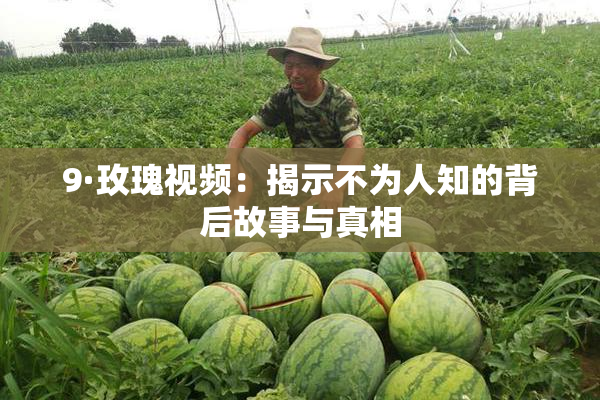 9·玫瑰视频：揭示不为人知的背后故事与真相