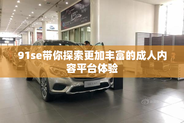91se带你探索更加丰富的成人内容平台体验
