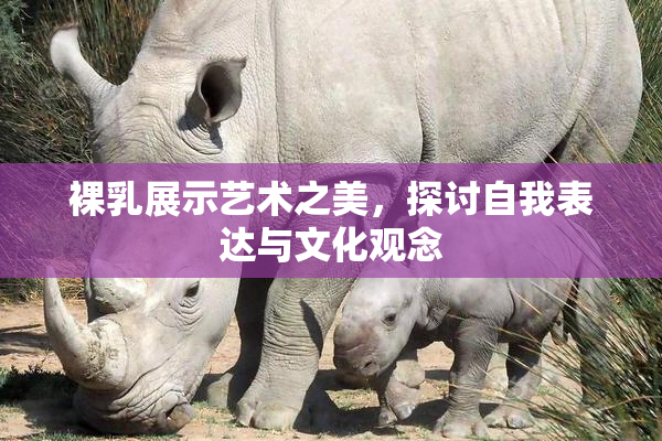 裸乳展示艺术之美，探讨自我表达与文化观念