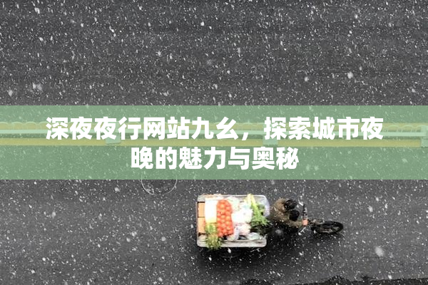 深夜夜行网站九幺，探索城市夜晚的魅力与奥秘
