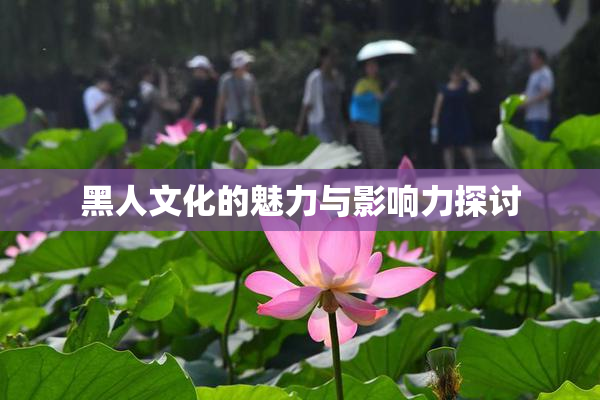 黑人文化的魅力与影响力探讨
