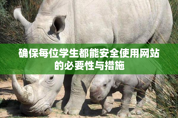 确保每位学生都能安全使用网站的必要性与措施