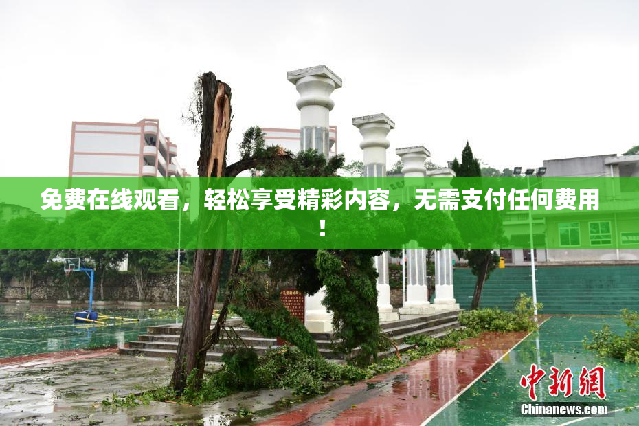 免费在线观看，轻松享受精彩内容，无需支付任何费用！