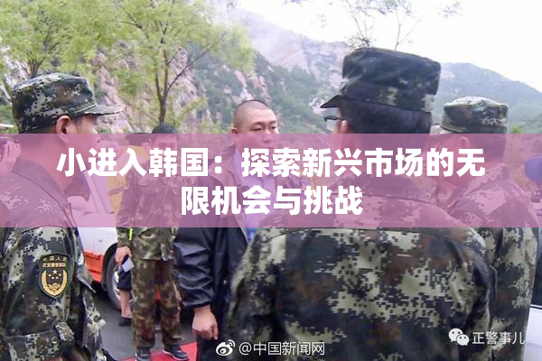 小进入韩国：探索新兴市场的无限机会与挑战