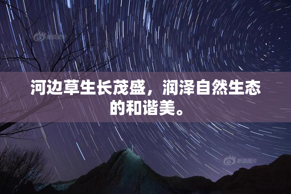 河边草生长茂盛，润泽自然生态的和谐美。