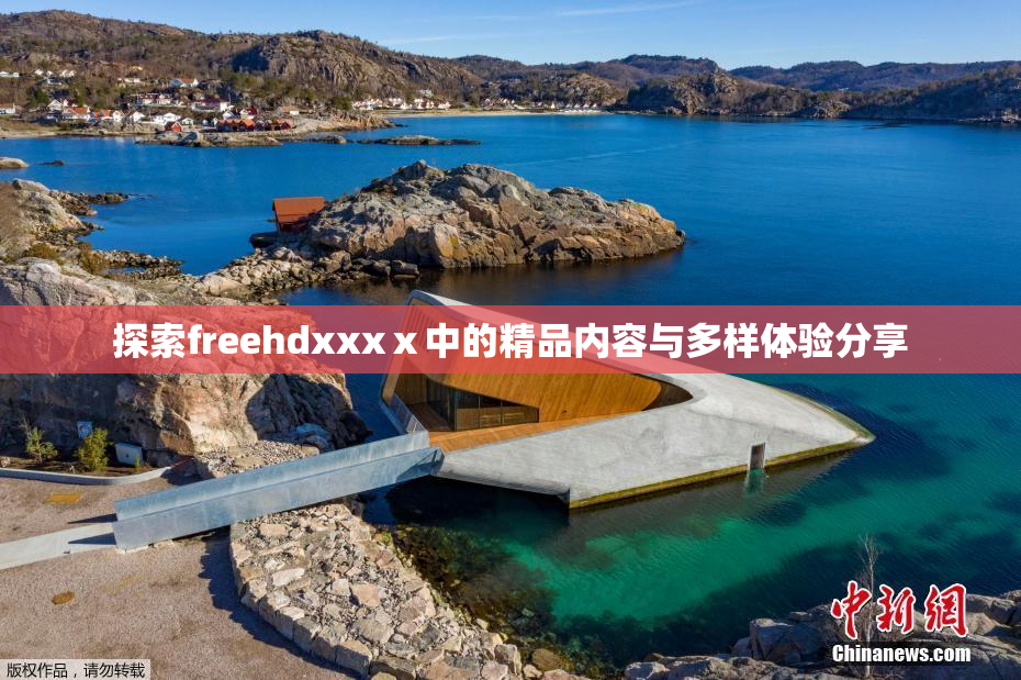 探索freehdxxxⅹ中的精品内容与多样体验分享