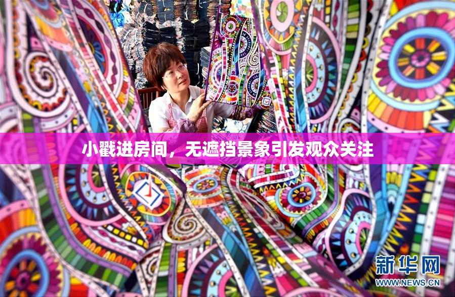 小戳进房间，无遮挡景象引发观众关注