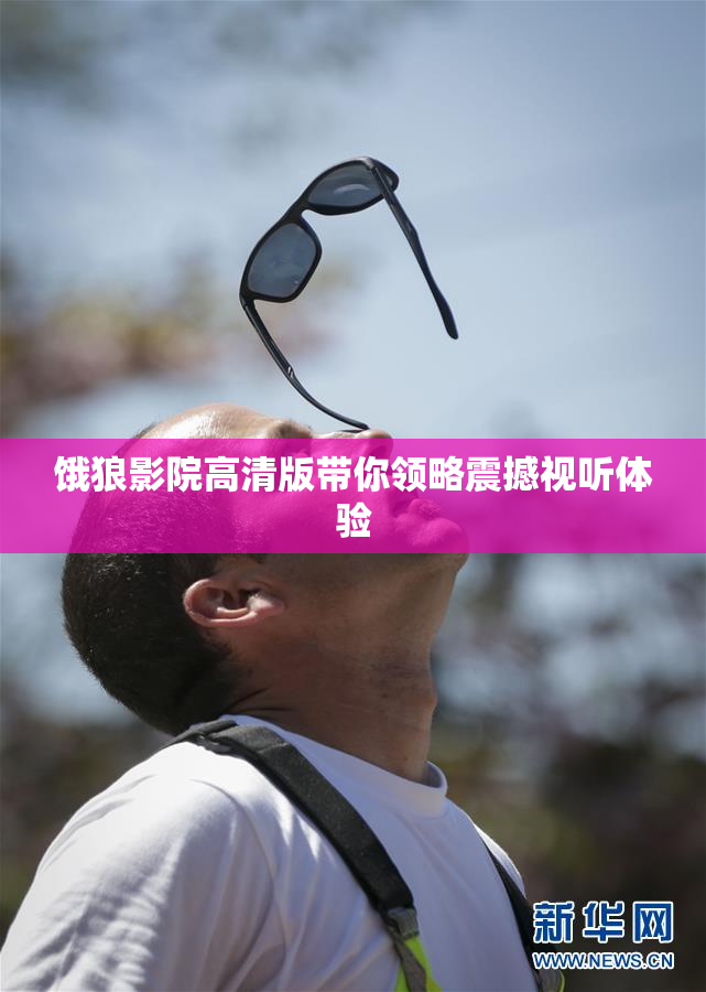 饿狼影院高清版带你领略震撼视听体验