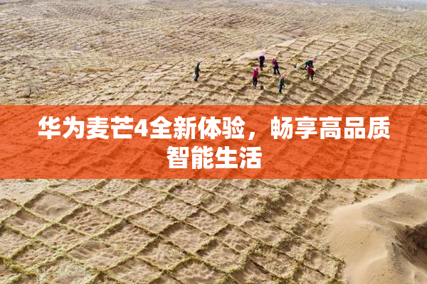华为麦芒4全新体验，畅享高品质智能生活