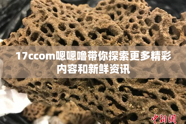 17ccom嗯嗯噜带你探索更多精彩内容和新鲜资讯