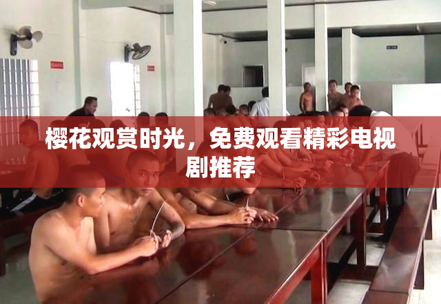 樱花观赏时光，免费观看精彩电视剧推荐