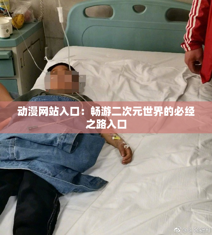 动漫网站入口：畅游二次元世界的必经之路入口