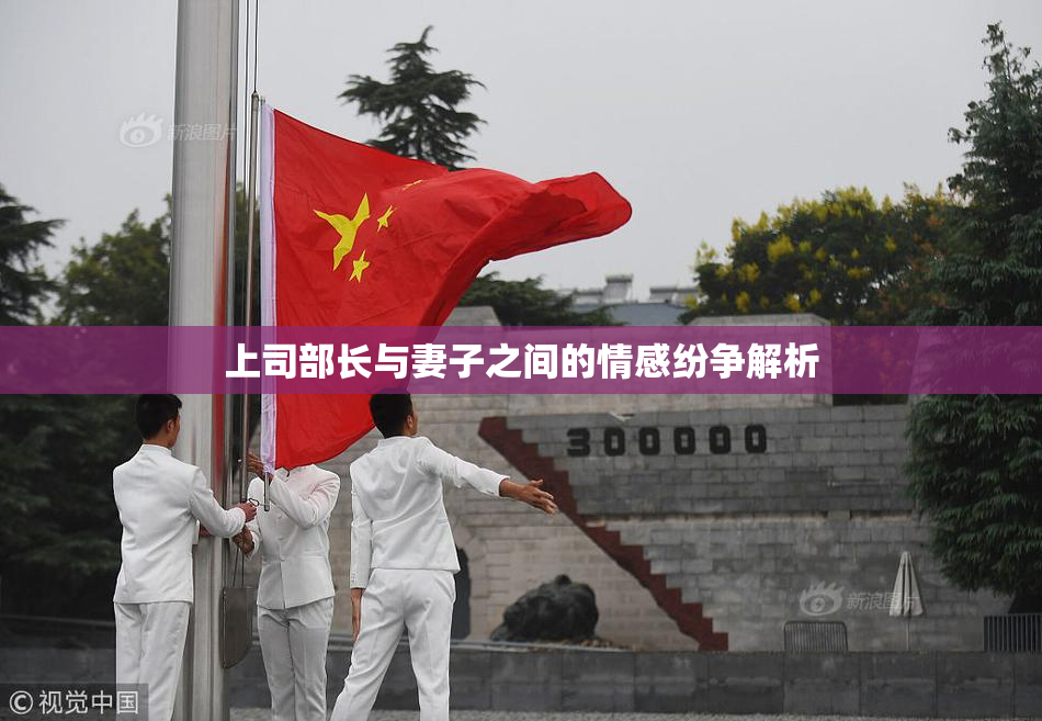 上司部长与妻子之间的情感纷争解析