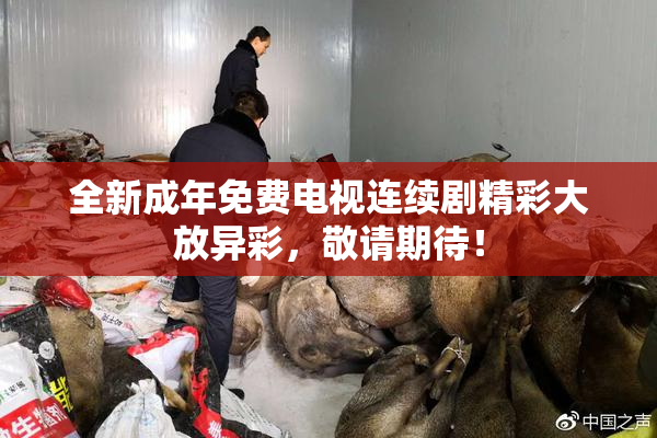 全新成年免费电视连续剧精彩大放异彩，敬请期待！
